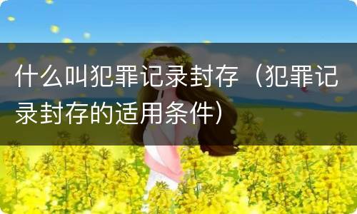 什么叫犯罪记录封存（犯罪记录封存的适用条件）