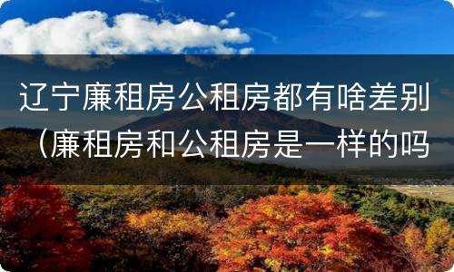 辽宁廉租房公租房都有啥差别（廉租房和公租房是一样的吗）