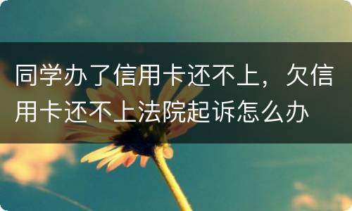 同学办了信用卡还不上，欠信用卡还不上法院起诉怎么办