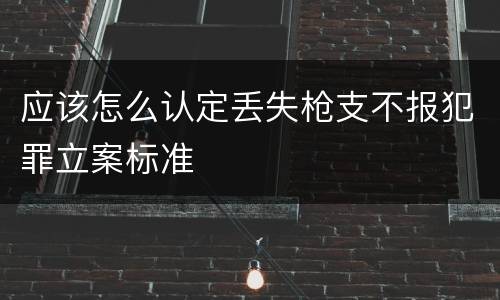 应该怎么认定丢失枪支不报犯罪立案标准