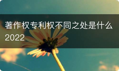 著作权专利权不同之处是什么2022