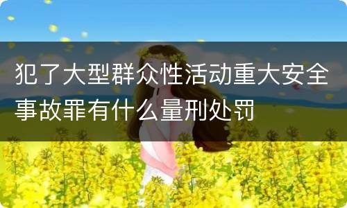 犯了大型群众性活动重大安全事故罪有什么量刑处罚