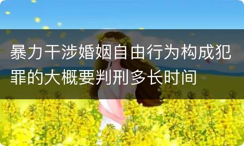 暴力干涉婚姻自由行为构成犯罪的大概要判刑多长时间
