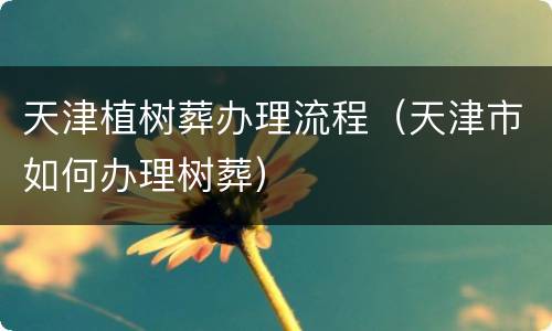 天津植树葬办理流程（天津市如何办理树葬）