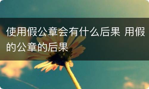 使用假公章会有什么后果 用假的公章的后果
