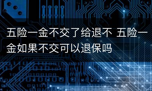 五险一金不交了给退不 五险一金如果不交可以退保吗