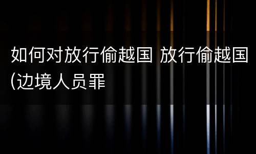 如何对放行偷越国 放行偷越国(边境人员罪