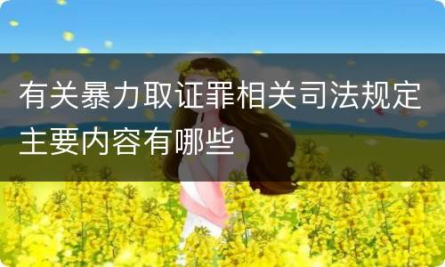 有关暴力取证罪相关司法规定主要内容有哪些