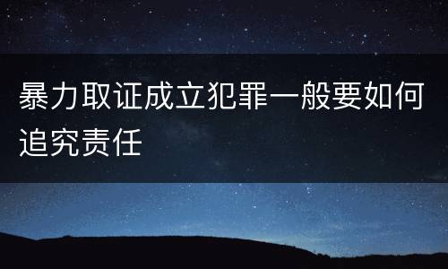 暴力取证成立犯罪一般要如何追究责任