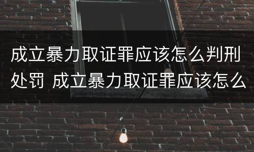 成立暴力取证罪应该怎么判刑处罚 成立暴力取证罪应该怎么判刑处罚呢