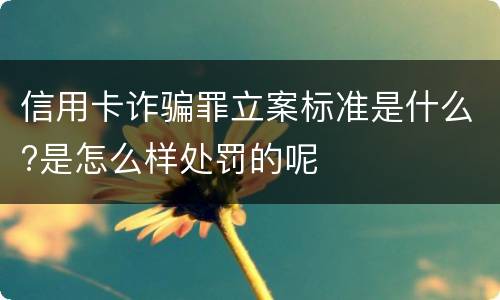信用卡诈骗罪立案标准是什么?是怎么样处罚的呢