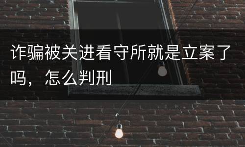 诈骗被关进看守所就是立案了吗，怎么判刑