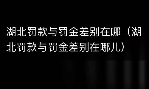 湖北罚款与罚金差别在哪（湖北罚款与罚金差别在哪儿）