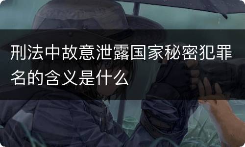 刑法中故意泄露国家秘密犯罪名的含义是什么