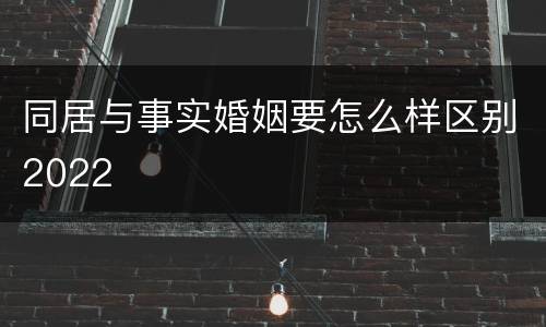 同居与事实婚姻要怎么样区别2022