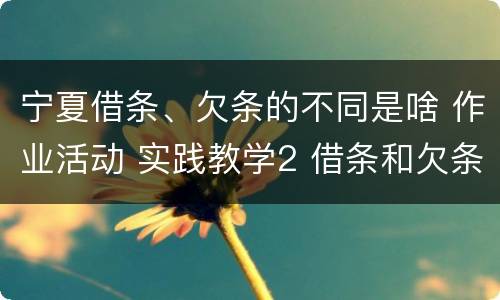 宁夏借条、欠条的不同是啥 作业活动 实践教学2 借条和欠条的主要区别是什么?