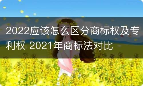 2022应该怎么区分商标权及专利权 2021年商标法对比