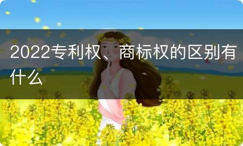 2022专利权、商标权的区别有什么