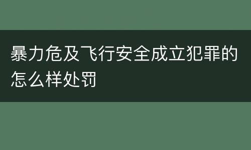 暴力危及飞行安全成立犯罪的怎么样处罚