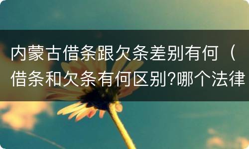 内蒙古借条跟欠条差别有何（借条和欠条有何区别?哪个法律效力更大?）