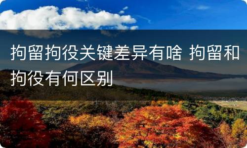 拘留拘役关键差异有啥 拘留和拘役有何区别