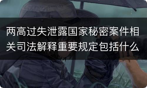 两高过失泄露国家秘密案件相关司法解释重要规定包括什么