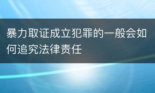 暴力取证成立犯罪的一般会如何追究法律责任