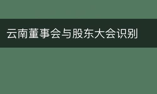 云南董事会与股东大会识别