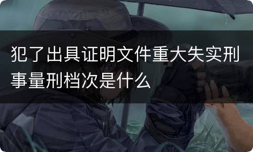 犯了出具证明文件重大失实刑事量刑档次是什么