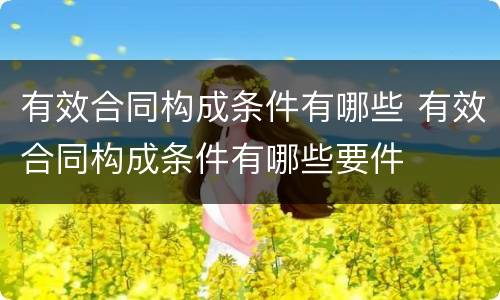 有效合同构成条件有哪些 有效合同构成条件有哪些要件
