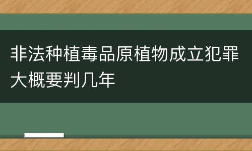 非法种植毒品原植物成立犯罪大概要判几年