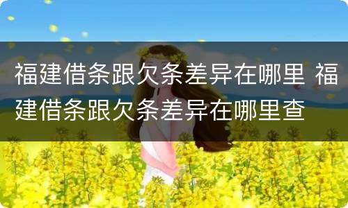 福建借条跟欠条差异在哪里 福建借条跟欠条差异在哪里查