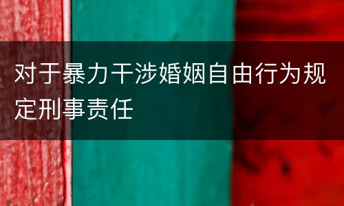 对于暴力干涉婚姻自由行为规定刑事责任