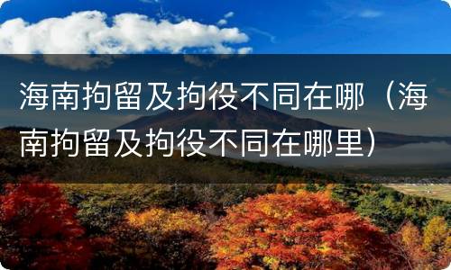 海南拘留及拘役不同在哪（海南拘留及拘役不同在哪里）