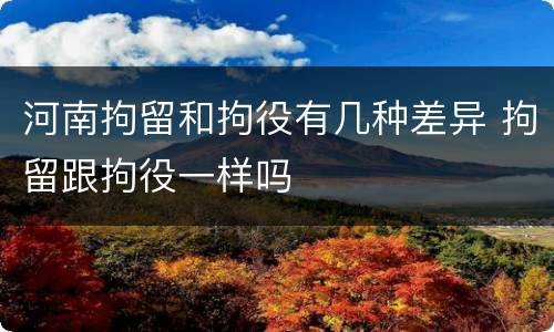 河南拘留和拘役有几种差异 拘留跟拘役一样吗