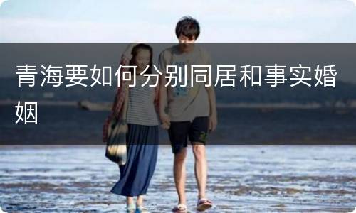 青海要如何分别同居和事实婚姻