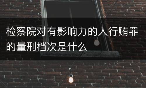 检察院对有影响力的人行贿罪的量刑档次是什么