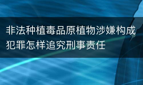 非法种植毒品原植物涉嫌构成犯罪怎样追究刑事责任