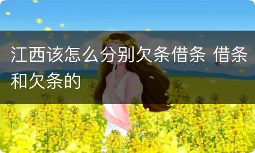 江西该怎么分别欠条借条 借条和欠条的