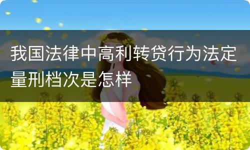 我国法律中高利转贷行为法定量刑档次是怎样