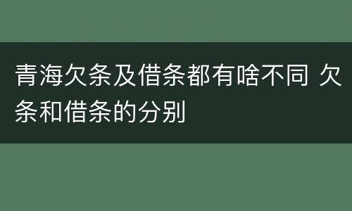 青海欠条及借条都有啥不同 欠条和借条的分别