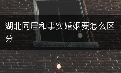 湖北同居和事实婚姻要怎么区分