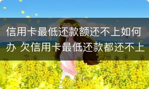 信用卡最低还款额还不上如何办 欠信用卡最低还款都还不上怎么办