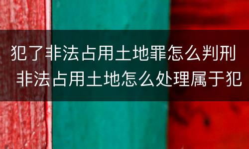犯了非法占用土地罪怎么判刑 非法占用土地怎么处理属于犯法