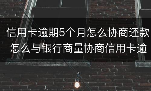 信用卡逾期5个月怎么协商还款 怎么与银行商量协商信用卡逾期还款事宜