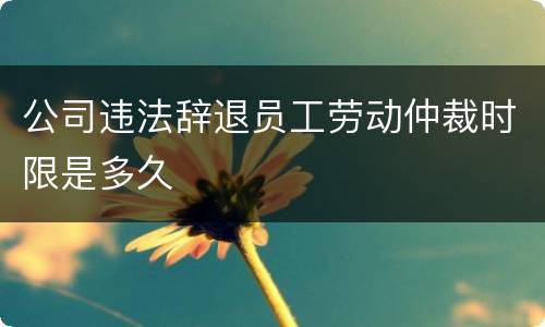 公司违法辞退员工劳动仲裁时限是多久