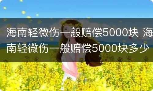 海南轻微伤一般赔偿5000块 海南轻微伤一般赔偿5000块多少钱