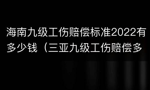 海南九级工伤赔偿标准2022有多少钱（三亚九级工伤赔偿多少钱）