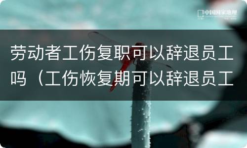 劳动者工伤复职可以辞退员工吗（工伤恢复期可以辞退员工吗）