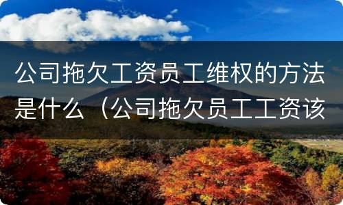 公司拖欠工资员工维权的方法是什么（公司拖欠员工工资该怎么追讨工资）